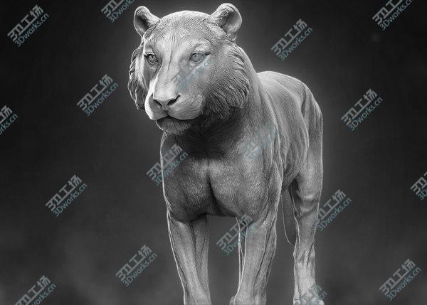 images/goods_img/20210312/3D Tiger model/2.jpg